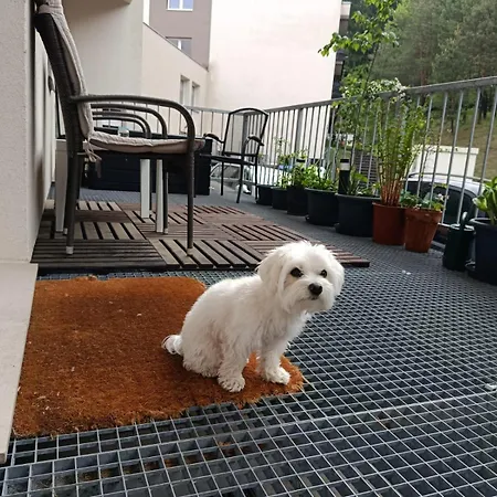 S Terasou Rezidence 300 * Všemina