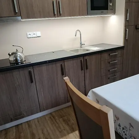 S Terasou Rezidence 300 Apartamento Všemina